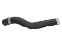 OEM 2018 Honda Accord Hose, Water (Upper) - 19501-6C1-A01