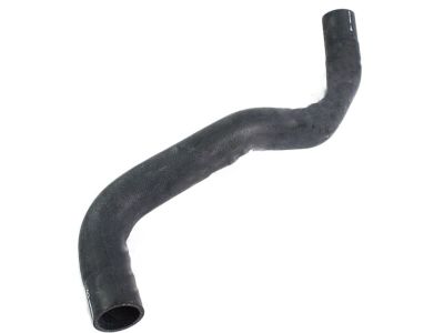 Infiniti 21503-1CB0A Hose-Radiator, Lower