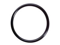 OEM Infiniti Ring-O Fuel Gag - 17342-01A00
