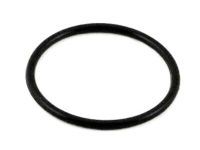 OEM 1994 Infiniti J30 Ring-O Fuel - 17342-01L00