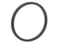 OEM 2014 Nissan Frontier Ring-Rubber - 21304-JA11A