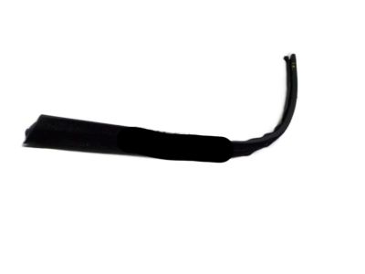 Kia 82231D9000 WEATHERSTRIP-Front Door Belt Inside