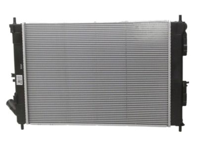 Hyundai 25310-3X500 Radiator Assembly