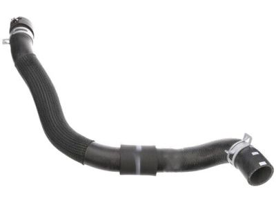 Kia 25410D9500 Hose Assembly-Radiator, Lower