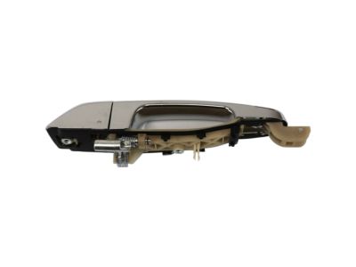 Hyundai 83650-4D011 Rear Exterior Door Handle Assembly, Left