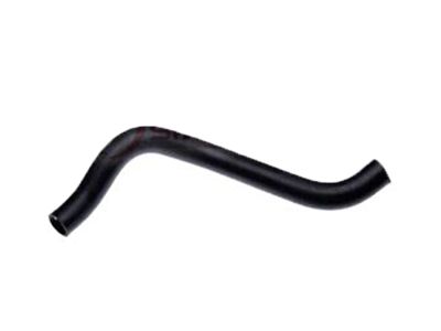 Kia 2541238160 Hose-Radiator Lower