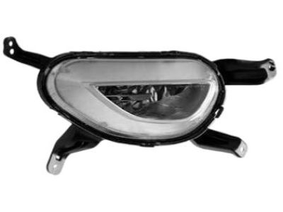 Kia 922013R510 Front Fog Lamp Assembly, Left