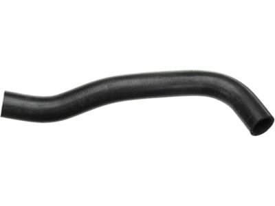 Kia 254122P700 Hose-Radiator Lower