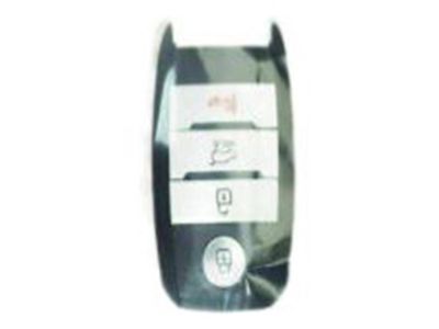 Kia 81996C5040 Blanking Pic Key