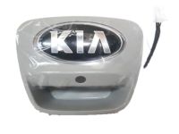 OEM Kia Rio Tail Gate Handle Assembly - 817201W230