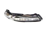 OEM Kia Lamp Assembly-Outside Mirror - 87614A7000