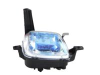 OEM Kia Sedona Front Fog Lamp Assembly, Left - 92201A9010