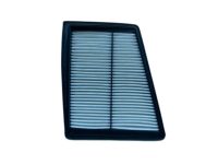 OEM Kia K900 Air Cleaner Filter - 281133M100