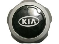 OEM 2000 Kia Sportage Rear Wheel Center Cap - 0K01137190B