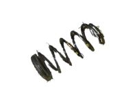 OEM Kia Soul Rear Suspension-Coil Spring - 553302K700