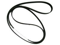 OEM 2011 Kia Sorento V Ribbed Belt - 252122G750