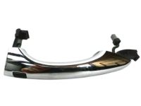 OEM 2018 Kia Sorento Door Outside Handle Assembly, Left - 82651C5710