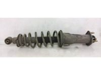 OEM 2005 Lexus IS300 Spring, Coil, Rear - 48231-53031