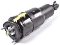 OEM Lexus Cylinder Assembly, Pneumatic - 48010-50341