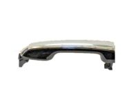 OEM Lexus Rear Door Outside Handle Assembly - 69210-60170-A0