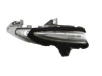 OEM 2015 Lexus RX450h Lamp Assy, Side Turn Signal, RH - 81730-48020