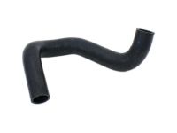 OEM Lexus NX300 Hose, Radiator, NO.2 - 16572-36170