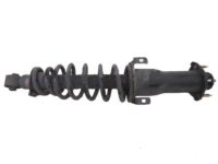 OEM Lexus IS300 Spring, Coil, Rear - 48231-53030