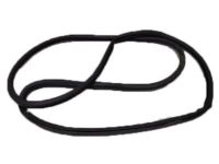 OEM Lexus LX570 Weatherstrip, Rear Door Opening Trim, RH - 62331-60081