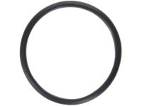 OEM 2003 Toyota RAV4 Water Inlet Seal - 16325-62010