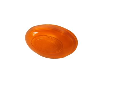 Mopar 5288895AC Lamp-Side REPEATER