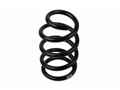 Mopar 4743988AC Front Suspension-Spring