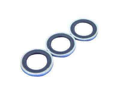 Mopar 68002992AA Washer-Fuel Line Banjo