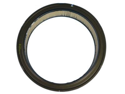 Mopar 68055879AA Filter-Air