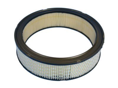 Mopar 68055879AA Filter-Air