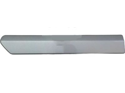 Mopar 1CH93WS2AB Molding-Rear Door