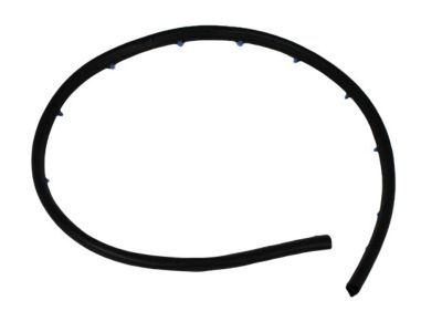 Mopar 55394042AD Seal-Front Door