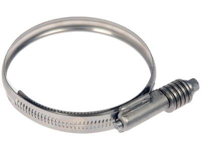 Mopar 68211466AA Clamp-Hose