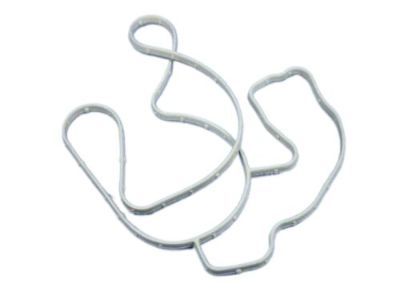 Mopar 68394131AA Gasket-Water Pump