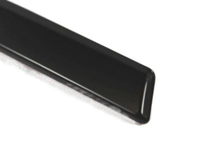 Mopar ZR53TZZAC Molding-Front Door