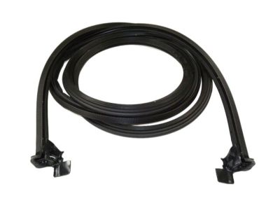 Mopar 68229637AC WEATHERSTRIP-Cargo Door