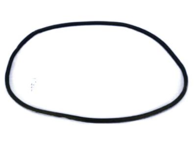 Mopar 68145007AB WEATHERSTRIP-Front Door Body Mounted