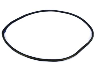 Mopar 68145007AB WEATHERSTRIP-Front Door Body Mounted