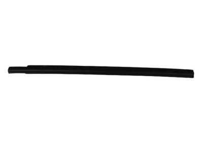 Mopar 4806139AB WEATHERSTRIP-Front Door Belt