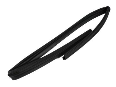 Mopar 55399169AG WEATHERSTRIP-Front Door Glass Run