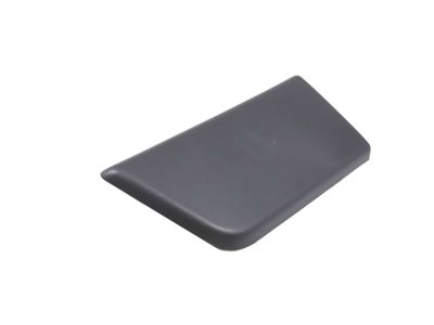 Mopar 1ZT55LAHAA Molding-Door Outside