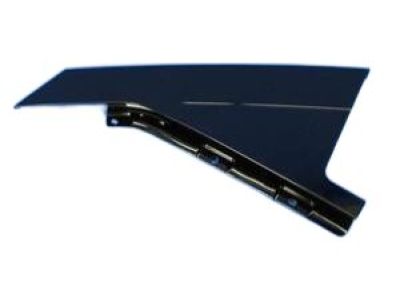 Mopar 68144239AA APPLIQUE-Rear Door