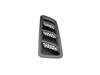 Mopar 68293748AD Bezel-Hood