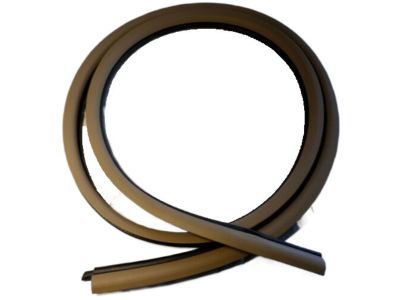 Mopar TE68RK5AG WEATHERSTRIP-Rear Door