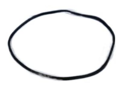 Mopar 55399256AC WEATHERSTRIP-Front Door Secondary