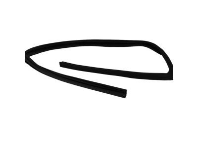 Mopar 5076870AD WEATHERSTRIP-Front Door Glass